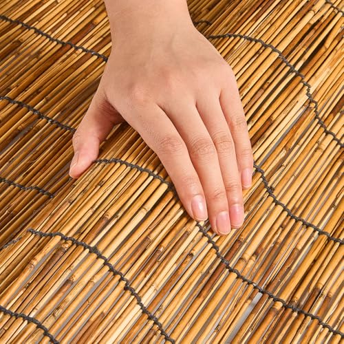 Reed Fencing Rolls (6×6FT / Brown)