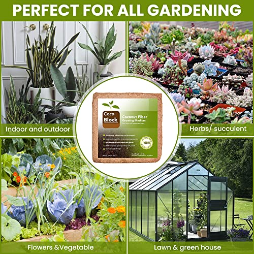 Home and Country Coconut Fiber Compressed Coco Coir Brick. Coco Coir is Great to use as a Compost Starter for Your Home Garden. Coco Coir Bricks Provide Organic Alternative to Peat Moss for Plants.10 (10 Pound)