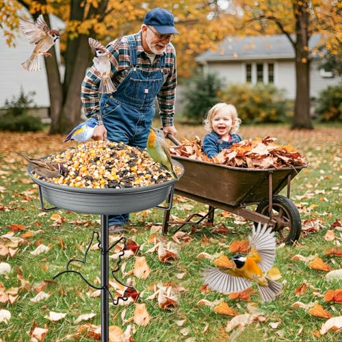 Bird Bath for Outside (Grey-2)