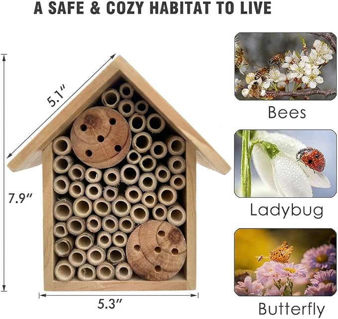 Mason Bee Houses Outdoor Wooden Bee Hotel for Garden and Yard Hand-Made Bamboo Bee Hive for Bees Butterflies and Ladybugs, Medium Size 8"x7.5"x5", Natural Finish