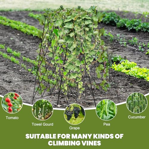 Cucumber Trellis 2 Pack (Black / 39.4" H)