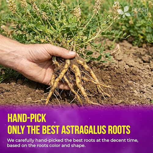 Premium 8oz Dried Astragalus Root Slices (8oz)