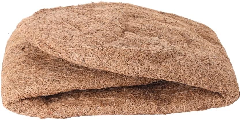 1 Pack 24 Inch Pre (24inch/1Pack)