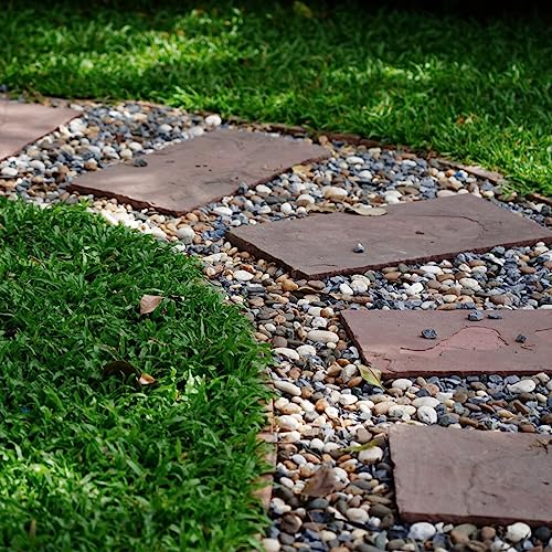 20lbs Natural River Rocks for Plants