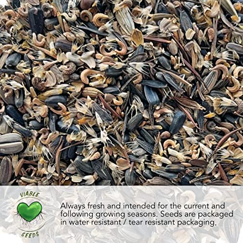 Partial Shade Wildflower Seeds Heirloom 2 Ounce Bulk Pack (30000 Count)