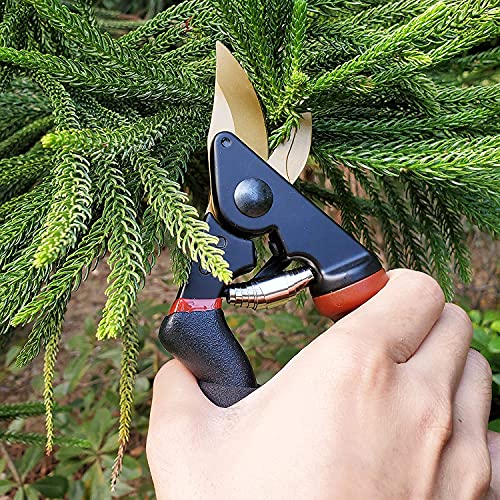 8.5" Professional Rotating Bypass Titanium Pruning Shears (Golden Rotating Titanium Bypass Pruning Shears)