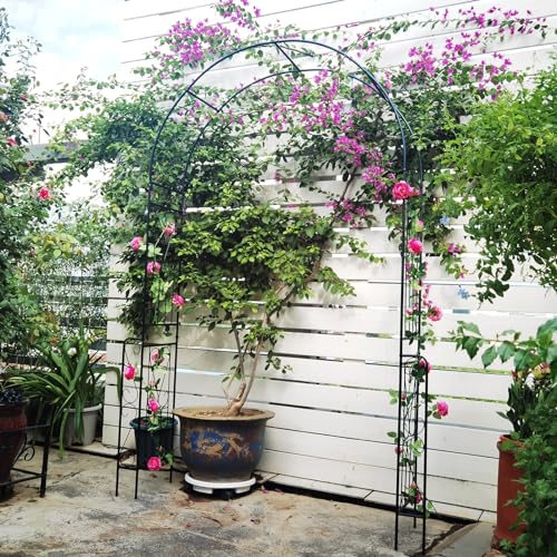 Garden Arch Trellis (66"W x 95"H)