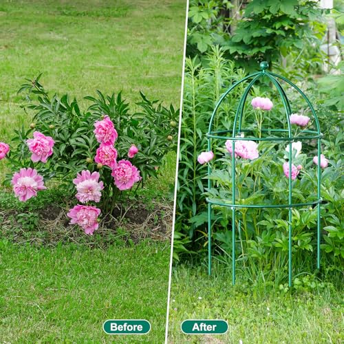 6 Pack Peony Cage (31.5"H x 15.7"W/6PC / Green)