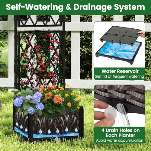 Raised Garden Bed with Trellis & Drain Holes (32" x 16" x 50")