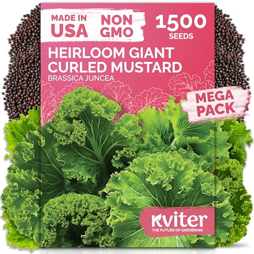 1500 Southern Giant Curly Mustard Heirloom Vegetable Seeds