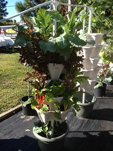 (12) LARGE Stackable Planters Planters - Use Mr Stacky Pots with any Grow Medium - Great For Soil Gardening, Hydroponics, and Aquaponics - Build Your Own Large Stacking Container Garden System - For Growing Strawberry, Vegetable, Herbs, Lettuce, Pepper...
