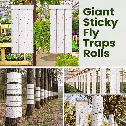 5 Pcs Giant Flypaper Fly Traps (White)