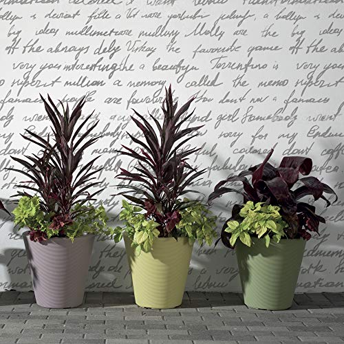Madison Planter