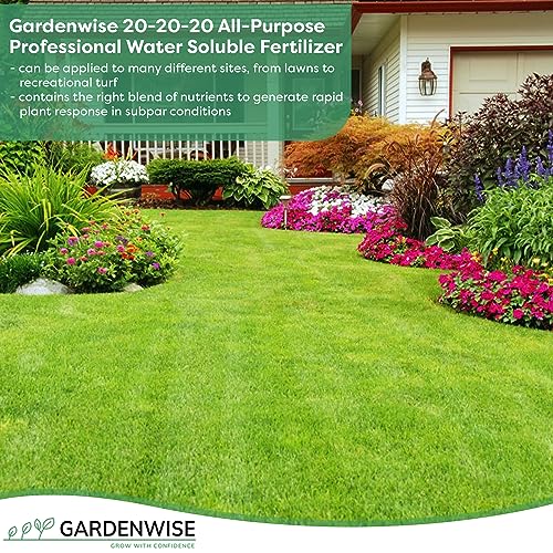 20-20-20 Water-Soluble Fertilizer – Powder for Liquid Plant Food for Indoor & Outdoor Plants, Orchids, Vegetables, Lawns, Flowers – 20 20 20 Fertilizer (20 QUARTS) (20 quarts / 20-20-20 Water-Soluble Fertilizer)