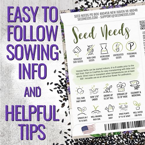 Blue Hyssop Seeds to Plant Heirloom Non (5 Packs)