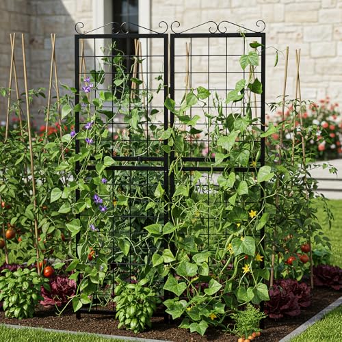 2 Pack Garden Trellis for Climbing Plants (71''H x 20''W/2 Pack / Black Square Grid)