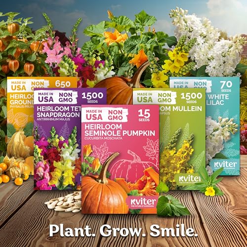 2 500 Maximum Mix Snapdragon Heirloom Flower Seeds