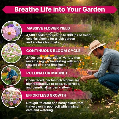 Cosmos Flower Seeds Pack 1 oz