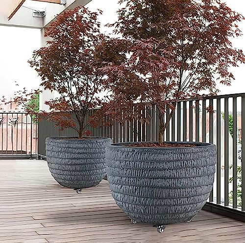 Plant Stand with Wheels