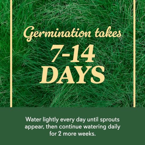 O.M. Scott & Sons Sheep Fescue Seed (1 Pack / Sheep Fescue)