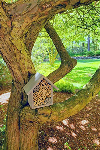 Bamboo Tube Bee Hotel for Solitary Bees (Farmhouse Grey)