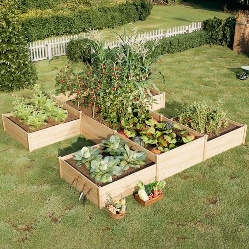H Shaped Raised Garden Bed (12 x 12 x 2 FT)