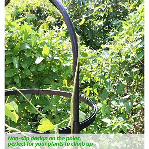 Garden Trellis for Climbing Plants (Black)