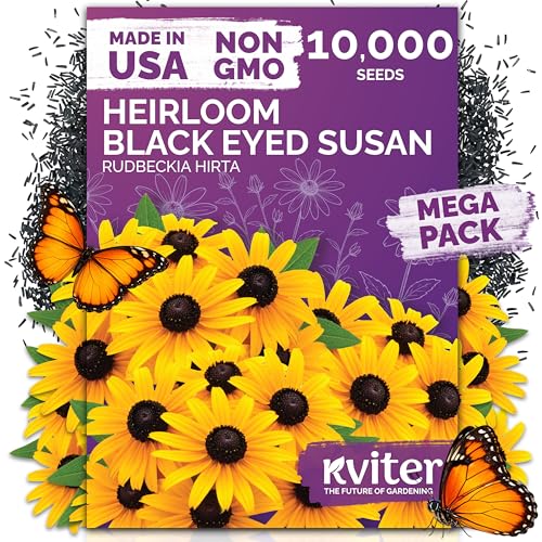 10 000 Black Eyed Susan Heirloom Flower Seeds for Planting