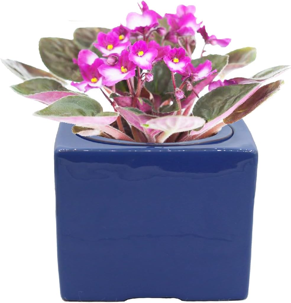 Ceramic African Violet Self Watering Pot 6 Inch Square Pot 3.5 Inch Innter Pot Easy Fill Water Reservoir Blue