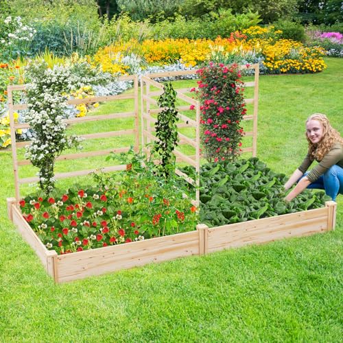 Raised Garden Bed with 3 Trellises & 2 Planter Boxes
