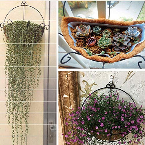 2PCS Half Round Replacement Coco Liner for Hanging Basket Wall Flower Basket (2 Count)