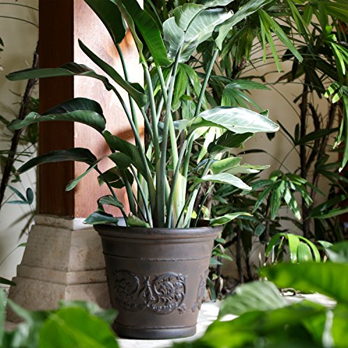 Sunnydaze Arabella 16'' Plastic Planter Pot for Plants (Rust / 16 in)