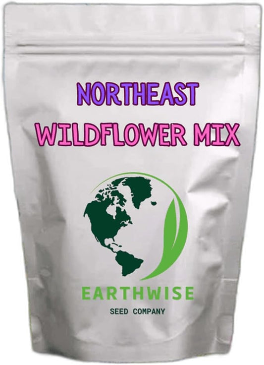 Earthwise Northeast Native and Naturalized Wildflower Seed Mix – Season-Long Color, Pollinator Friendly, Organic, Low Maintenance, Chemical-Free, Pet Safe – Covers Up to 1,000 sq ft, 1/2 lb