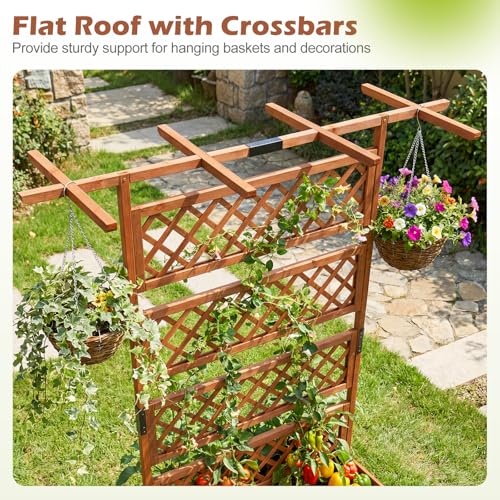 Raised Garden Bed with Trellis (Brown / 60"Lx22"Wx72"H)