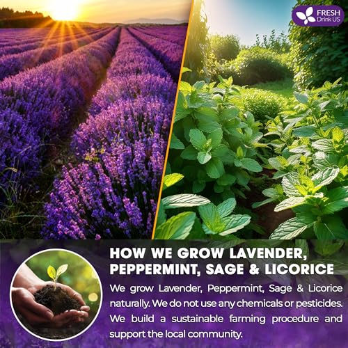 Premium 135 Tea Bags Lavender Mint Tea (135 TEA BAGS)