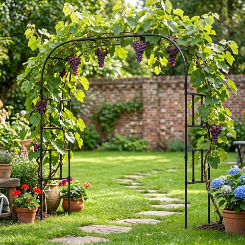 Garden Arch Trellis (87" H x 16" L x 79" W)