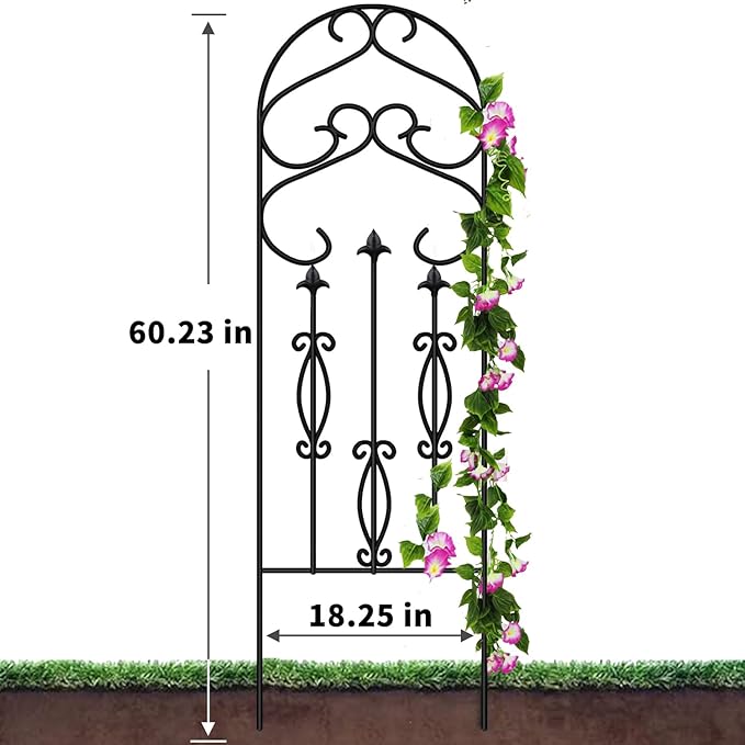 AMAGABELI Garden & Home 2 Pack 60" x 18" Metal Garden Trellis for Climbing Plants Outdoor Climbing Rose Trellis Rustproof Plant Vines Flower Vegetable Trellis for Potted Plants Support Black