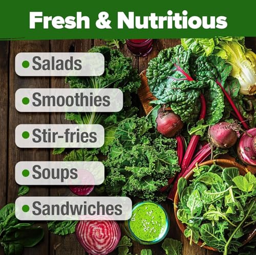 10 Variety Lettuce Seed Mix