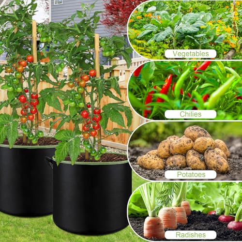 6 Pack 5 Gallon Grow Bags (6 Count)