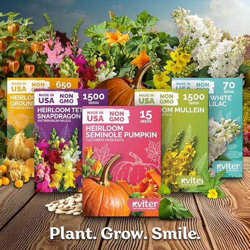 150 Grandpa OTT Morning Glory Heirloom Flower Seeds