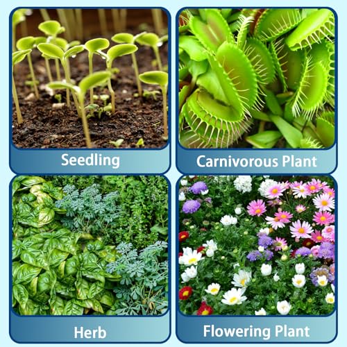 Sphagnum Peat Moss for Plants 4qt (128 Ounce)