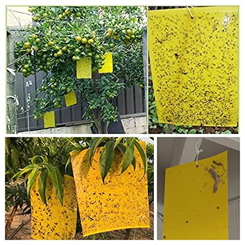 30 Pack Yellow Sticky Traps Fruit Fly Trap (30 Count)
