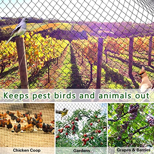 50' x 50' Bird Netting Heavy Duty Nylon 3
