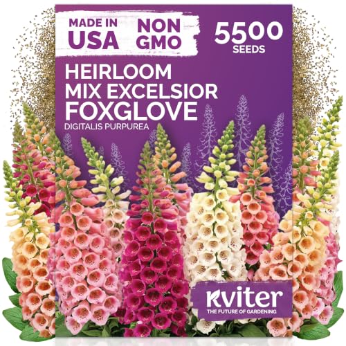 5 500 Foxglove Excelsior Mix Heirloom Flower Seeds
