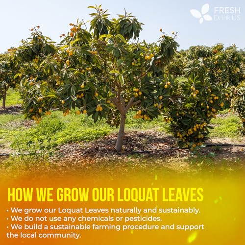 Premium 8oz Loquat Leaves (8oz)