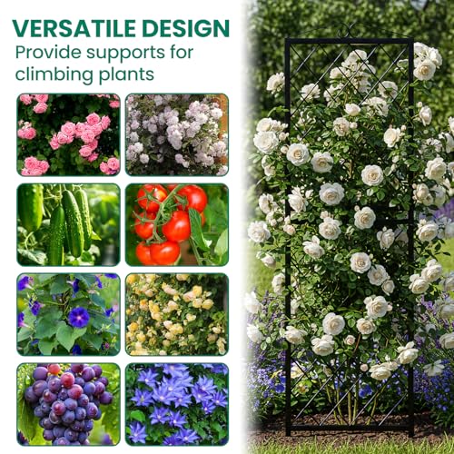 2 Pack Garden Trellis for Climbing Plants (71''H x 20''W/2 Pack / Black Rhombus Grid)