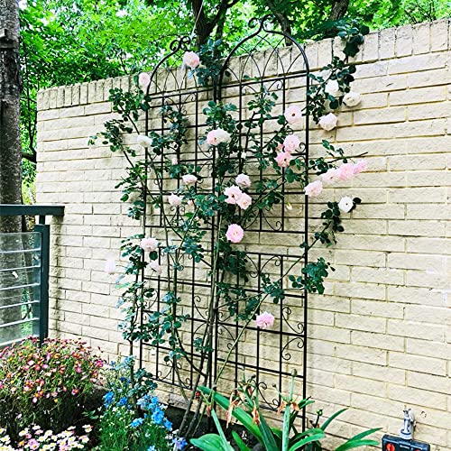 8 Pack Metal Garden Trellis for Climbing Plants