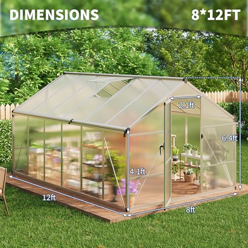 8x12 FT Greenhouse for Outdoors (Silver / 8x12 FT)