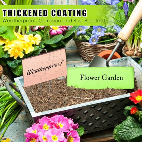30 Pcs Large Plant Marker (4'' X 6'' with 11'' Stake / Rose Gold)