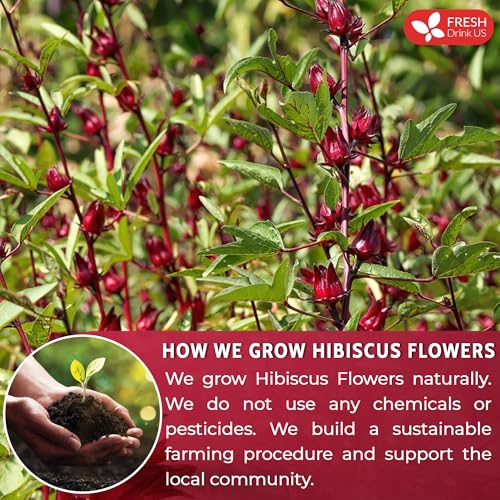 Premium 21oz Hibiscus Dried Flowers (22oz)